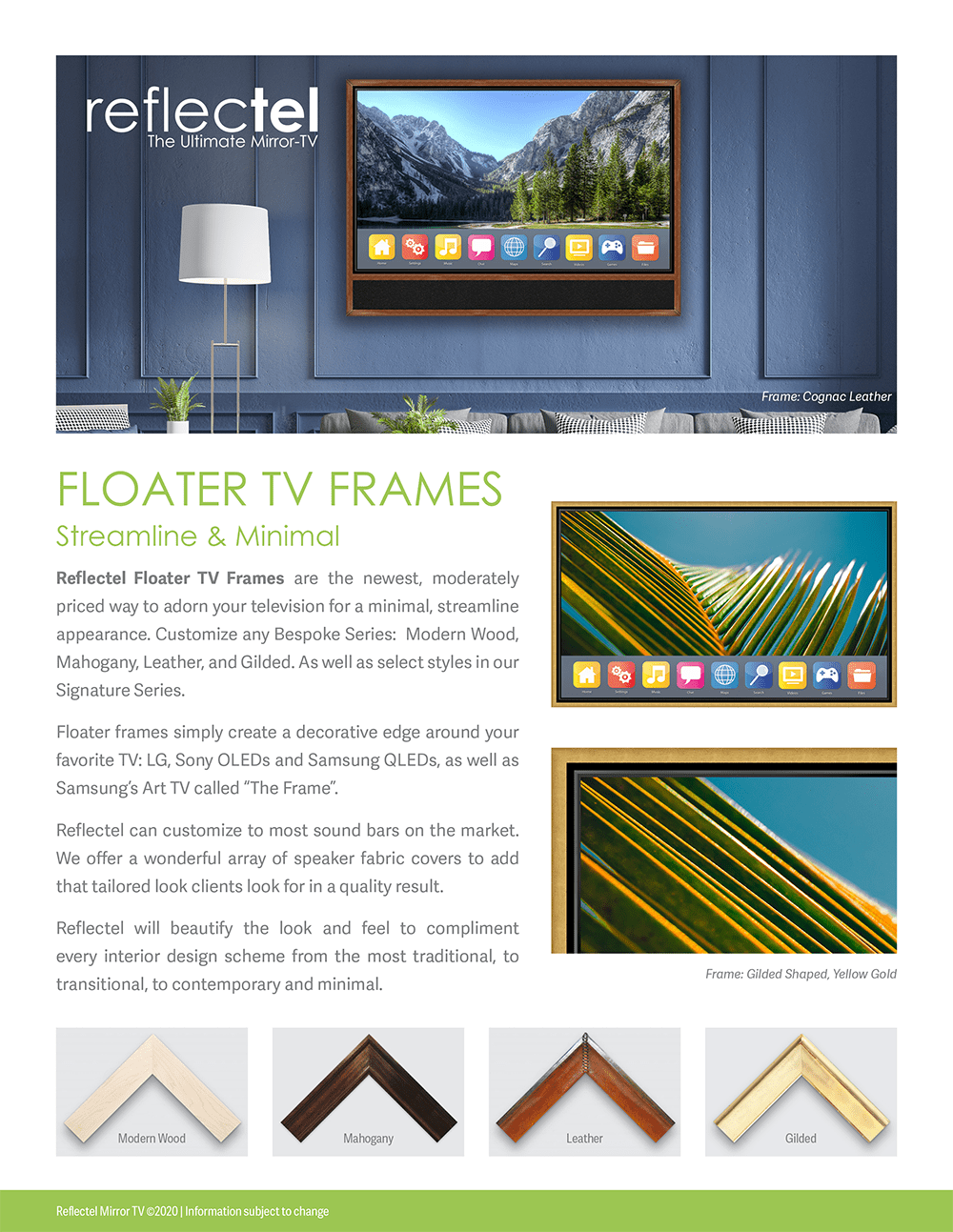 Marketing Floater Television Frames Flyers Info Sheet