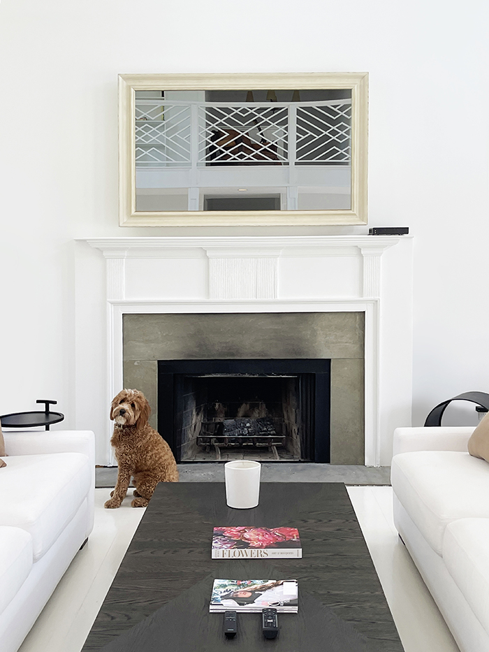 Best Mirror Tv Over White Mantel Fireplace Dog Living Room