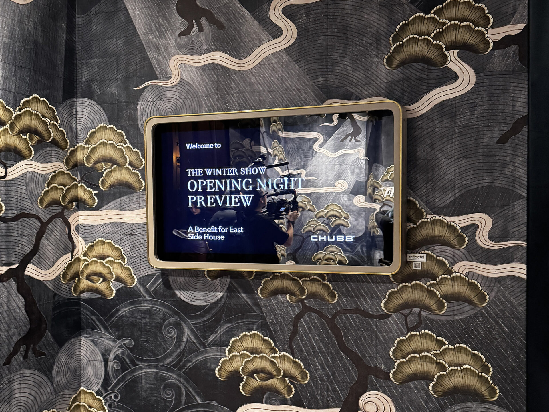 Mirror Television With Rounded Corner Taupe Leather Frame At Winter Show