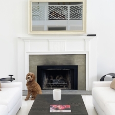 65" Landscape - Signature Wood white wooden frame with traditional fireplace in family room with dog