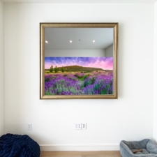 55" Square - Signature Carved* 55" mirror tv with gold frame and black buildup