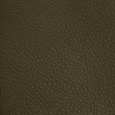 Olive green cactus muted color pebbled texture swatch real leather for mirror tv frame