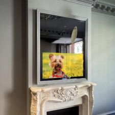 43" Portrait Plus - Painted Specialty Wood Gray framed television over mantel with dog on tv in living room.